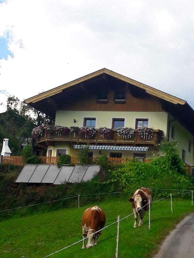 Landhaus Katharina Bischofshofen Exterior photo